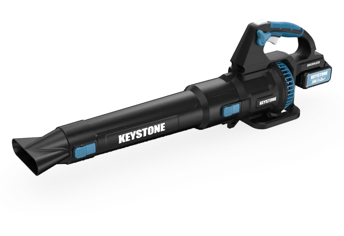 Cordless 20V Blower-93201
