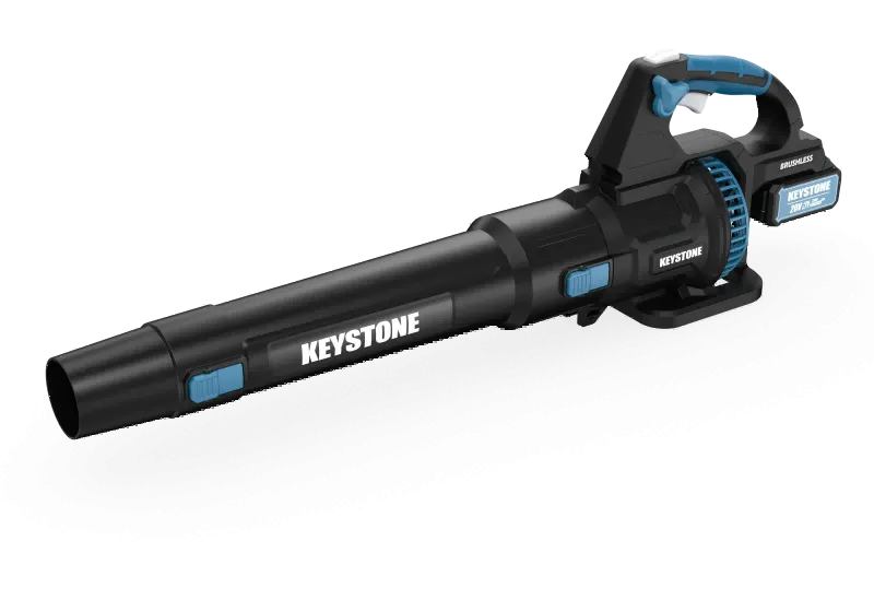 Cordless 20V Blower-93201